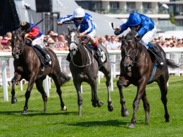 FERRARI QUEEN gains valuable black type finishing second in the Denford Stakes (L)